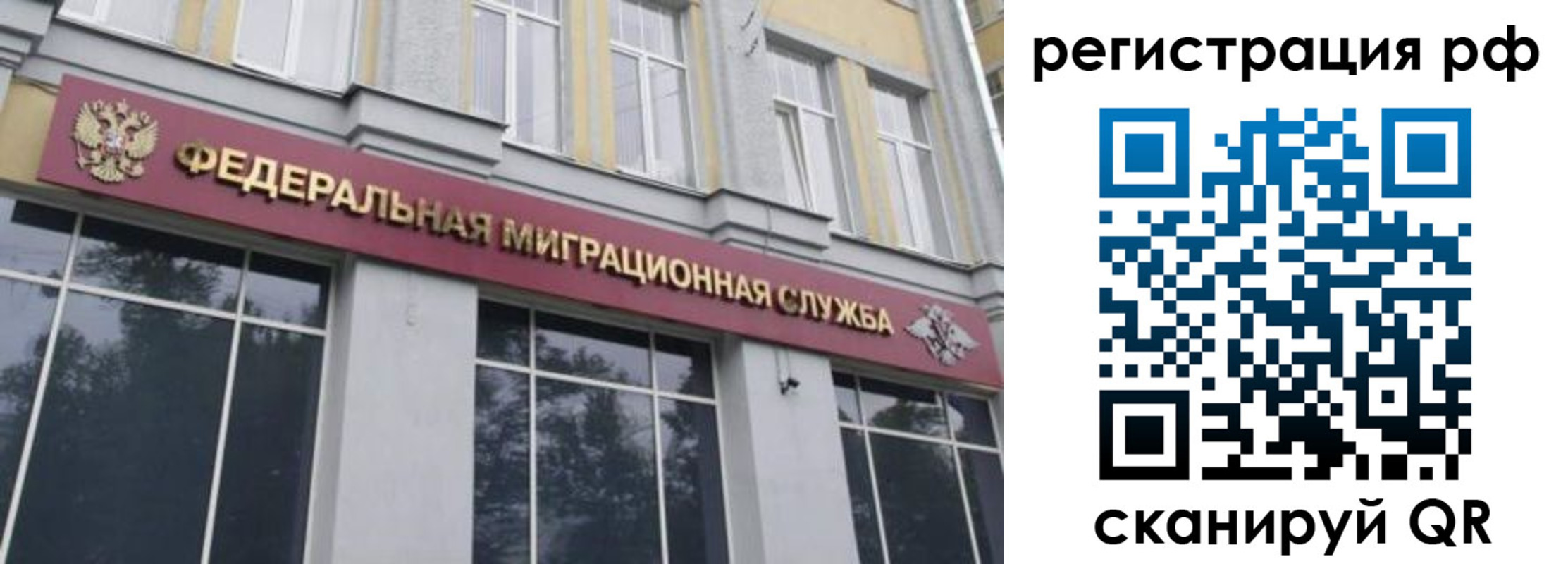 прописка законно в Сураже